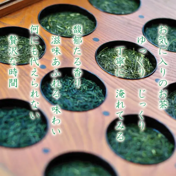 急須で淹れるお茶　茶舗 牧ノ原の深蒸し茶・日本茶・緑茶